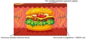 speedelight electrolux professional