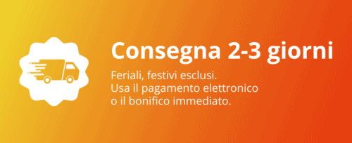 consegna 2 3 giorni