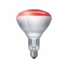 Lampada a incandescenza infrarossi professionale Philips - immagine 2