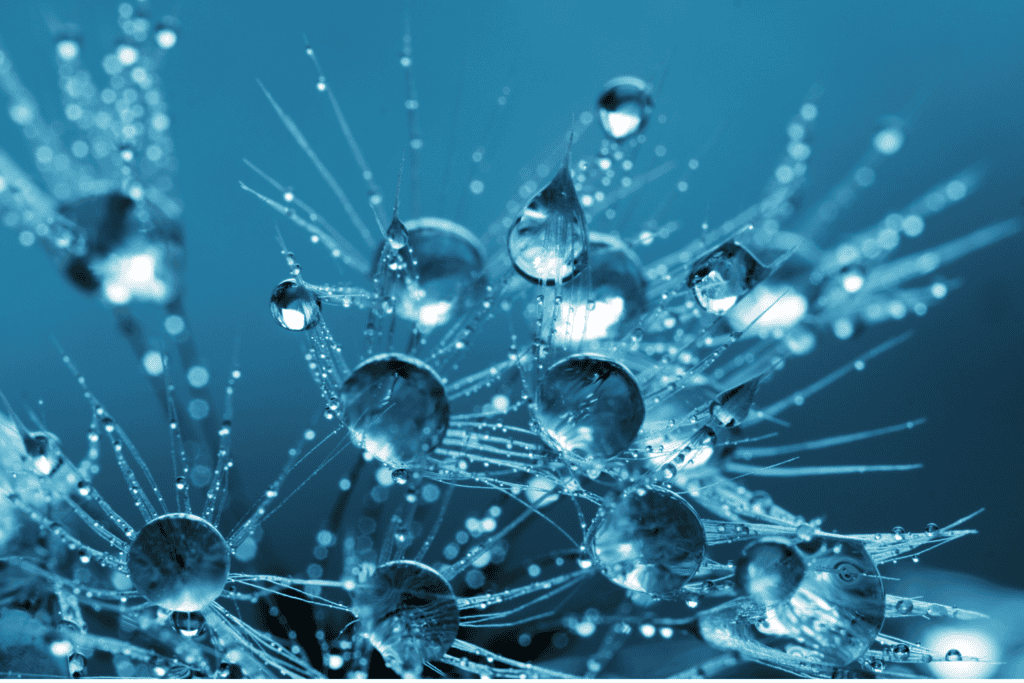 a cosa serve il brillantante nella lavastoviglie professsionale?