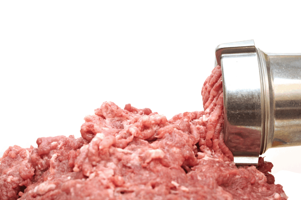 tritacarne professionale elettrico o manuale