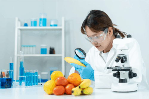 Quali sono le nuove normative HACCP per il 2025-2026